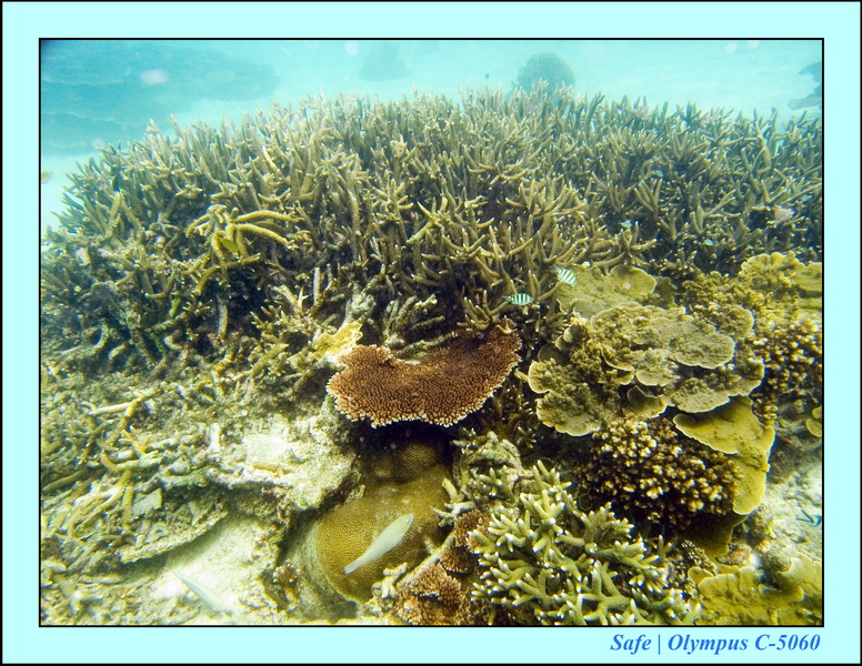 2008 - 07 - Perhentian - 073